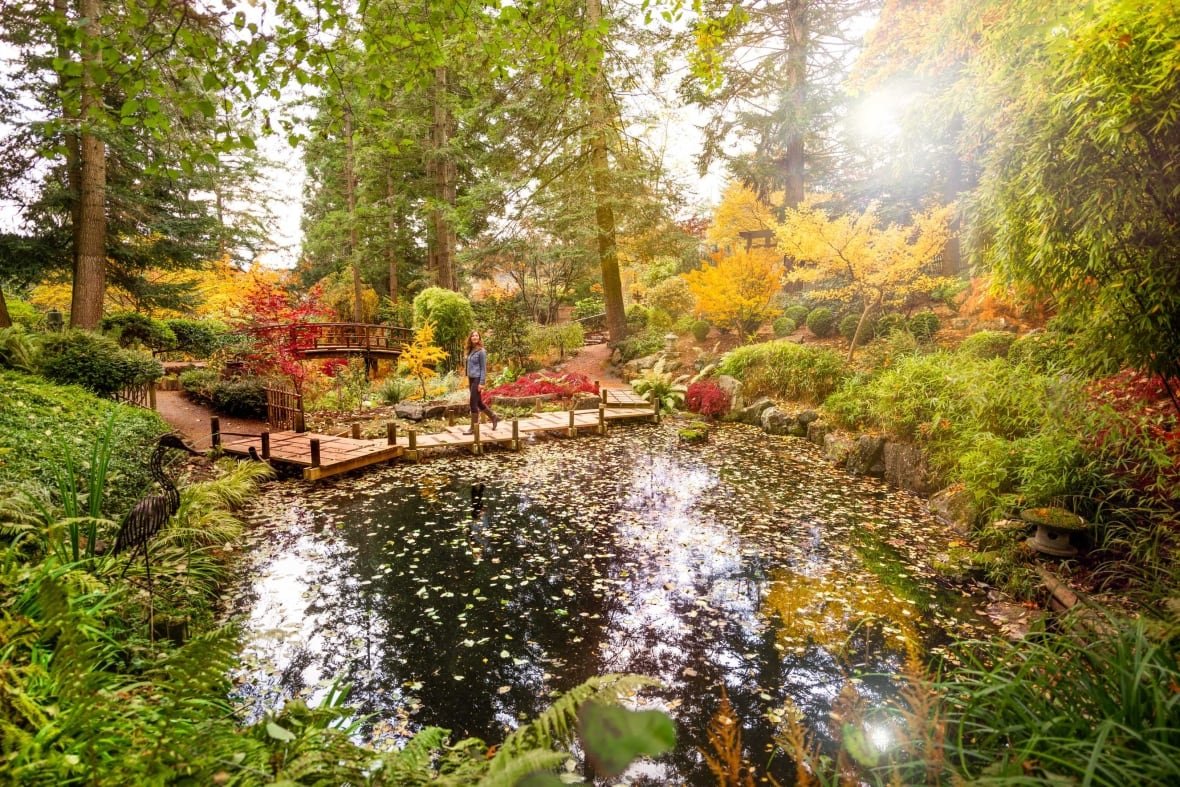 Individual standing on a wooden pathway near a pond in colorful public gardens during fall.