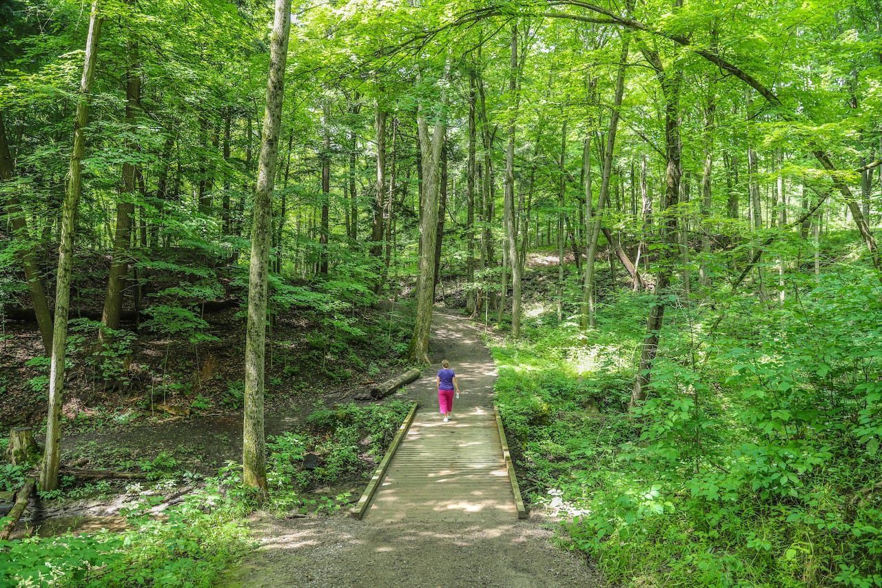 A person walks on a trail, surrounded by green trees and grass